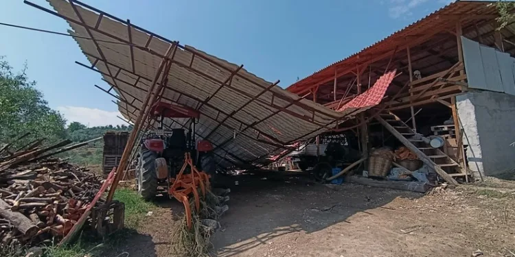 Sinop’ta mantar zehirlenmesi