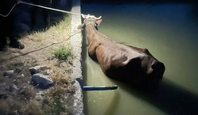 16 yaşındaki sürücü kaldırımdaki panoya çarptı