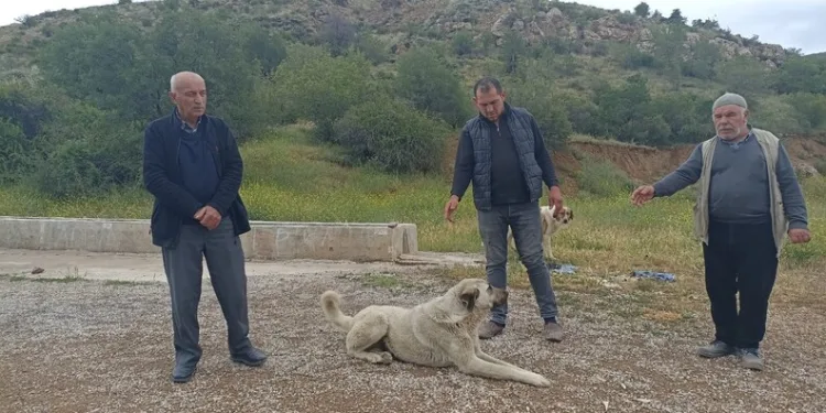 Erdek’te kavga: 1 ölü