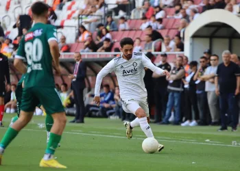 Altay