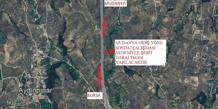 Bursa