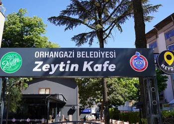 Zeytin Cafe Meydan hizmete giriyor
