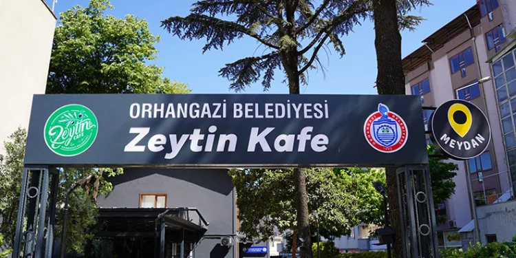 Zeytin Cafe Meydan hizmete giriyor