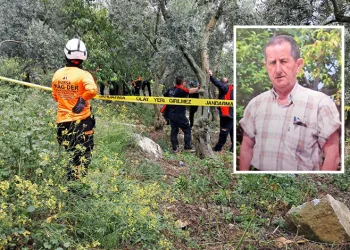 Bursa’da emekli öğretmen zeytinlikte ölü bulundu