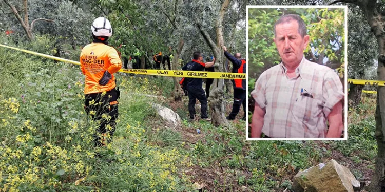 Bursa’da emekli öğretmen zeytinlikte ölü bulundu