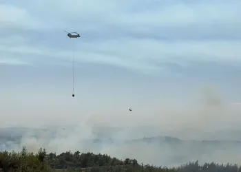 Adana’da orman yangını: 6 gözaltı