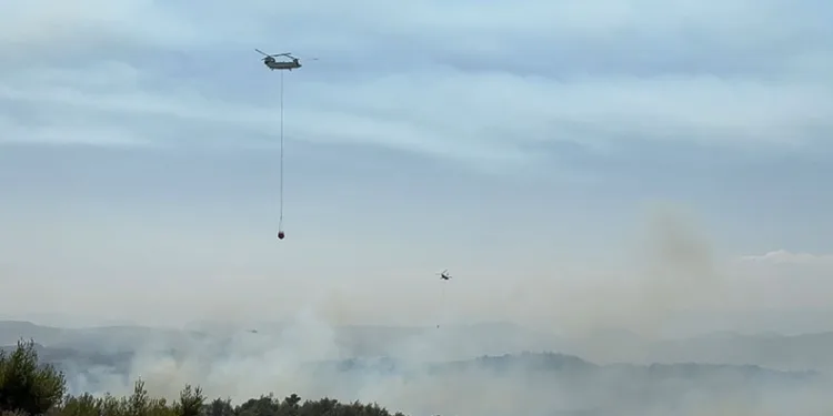 Adana’da orman yangını: 6 gözaltı