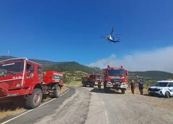 Balıkesir’de iki noktada orman yangını