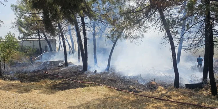 Kocaeli’de ağaçlık alanda yangın çıktı, 4 kişi dumandan etkilendi