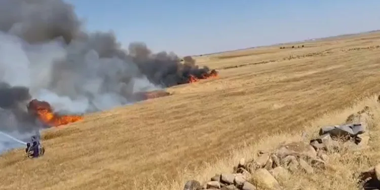 Şanlıurfa’da buğday tarlasında yangın: 1’i ağır 5 yaralı