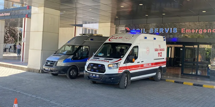 Ahırda süt sağan kadını kene ısırdı