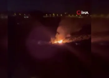Bursa’da zeytinlik alanda yangın