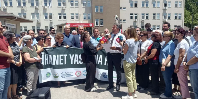 Zeytinlikler Tehlikede: Yeni Yasa Teklifi Doğayı ve Geleceğimizi Tehdit Ediyor