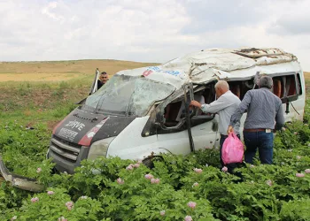 Amasya’da minibüs tarlaya uçtu: 1 ölü