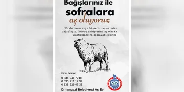 Orhangazi Belediyesi’nden anlamlı çağrı