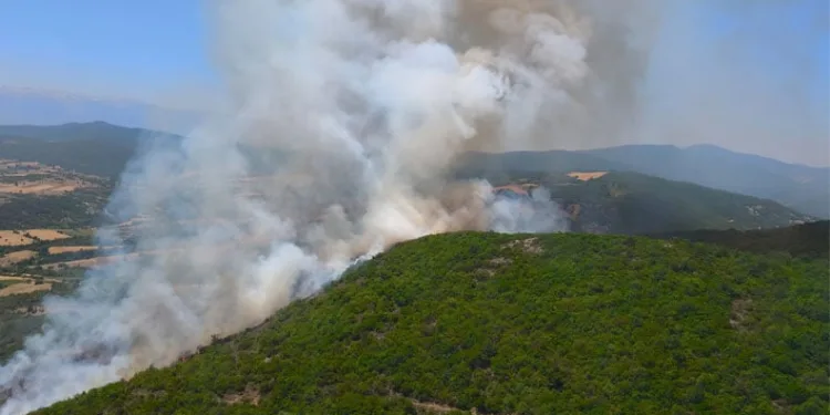 Bursa Yenişehir’deki orman yangını kontrol altına alındı