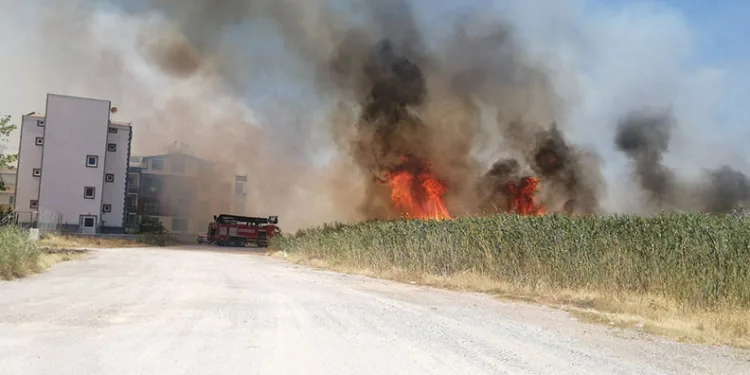 Edremit’te sazlık alanda yangın