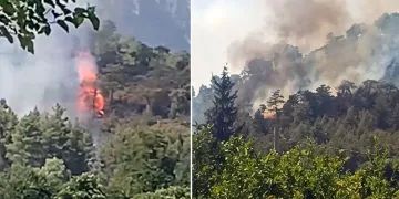 Köyceğiz’de orman yangını başladı