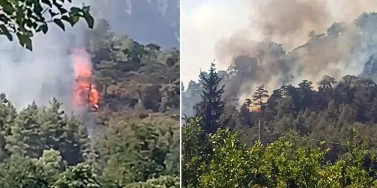 Köyceğiz’de orman yangını başladı
