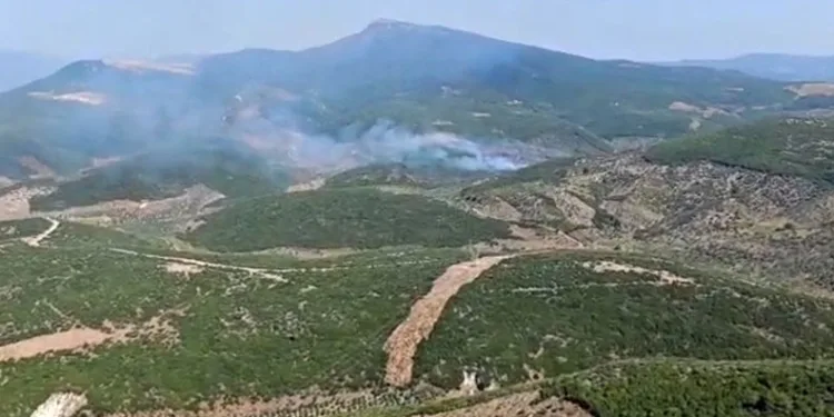 İzmir Torbalı’da orman yangınına müdahale sürüyor