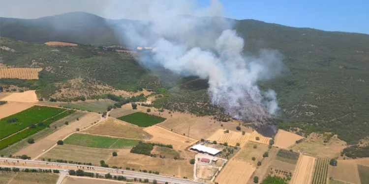 Yenişehir Marmaracık’ta orman yangını