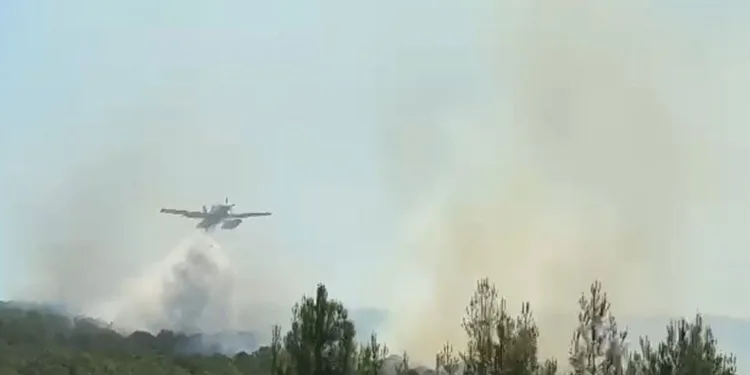 Şarköy’de ormanlık alanda çıkan yangına karadan ve havadan müdahale ediliyor
