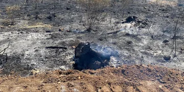 Antalya Aksu’da orman yangını kontrol altına alındı