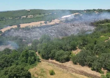 Bursa İnegöl’de çıkan orman yangını kontrol altına aldı