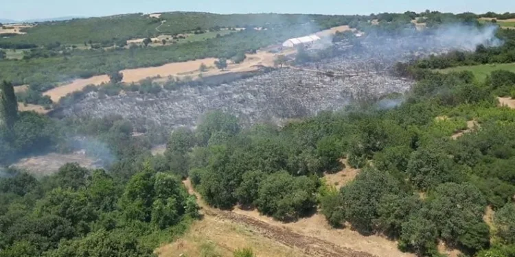 Bursa İnegöl’de çıkan orman yangını kontrol altına aldı