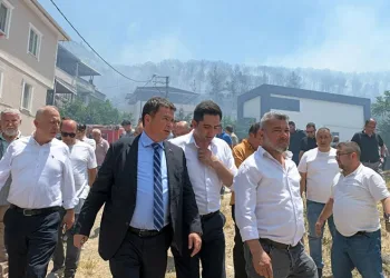 Erkan Aydın İsmetiye’deki yangın bölgesinde