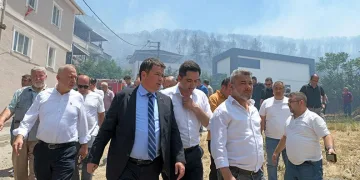 Erkan Aydın İsmetiye’deki yangın bölgesinde