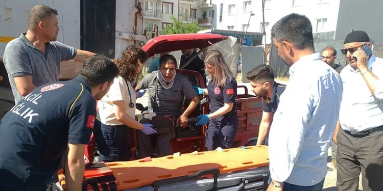 Yangından kurtarılan köpekler böyle görüntülendi