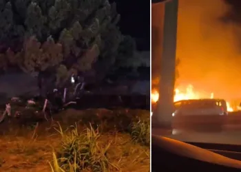 Bursa’da düğünden atılan havai fişek ormanı yaktı