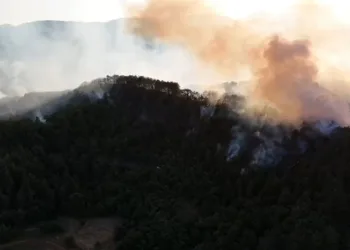 Bolu’da orman yangını