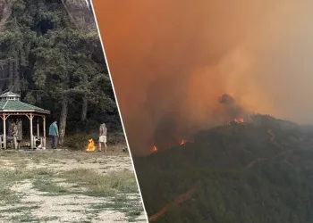 Bilecik’te yangın sonrası pes dedirten görüntü