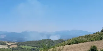 Osmaniye’de orman yangını başladı