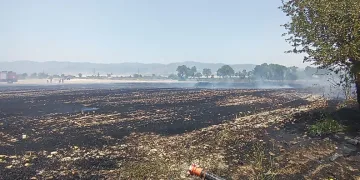 Burdur’da arazide çıkan yangında 10 dönüm anız, saman balyaları ve sulama boruları zarar gördü