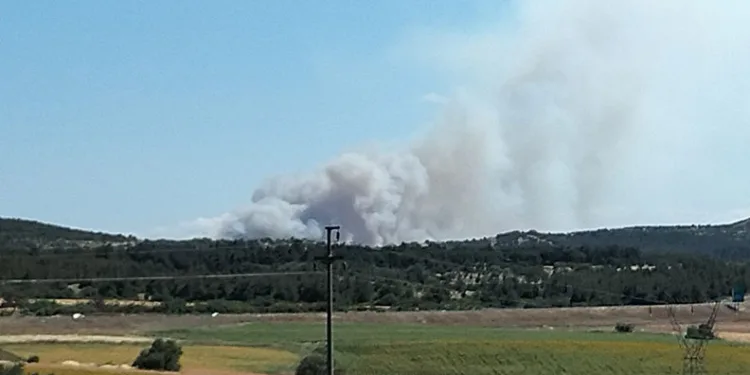Çanakkale’de tarım arazisinde yangın