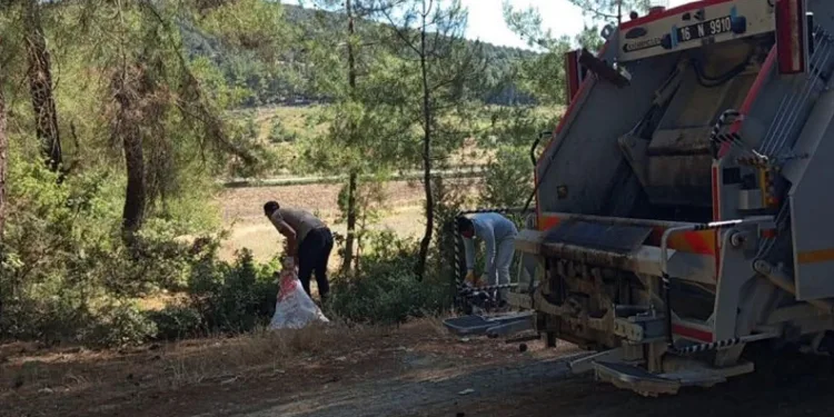 Orhaneli’de ormanlık alanda çevre temizliği yapıldı