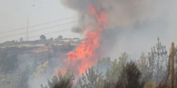 İzmir’de benzin dökerek ormanı yakan şahıs gözaltına alındı