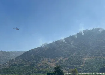 Antalya’daki orman yangını 3 saatte kontrol altına alındı