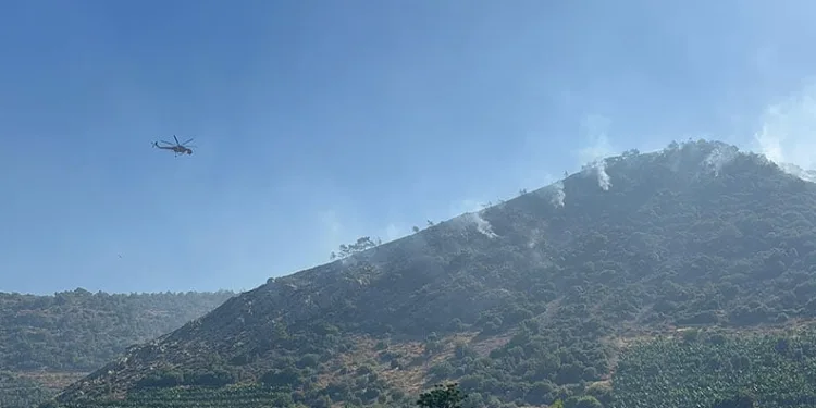 Antalya’daki orman yangını 3 saatte kontrol altına alındı