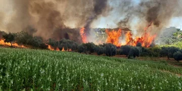 Antalya’da ormanlık ve kırsal alanda çıkan yangın kontrol altına alındı