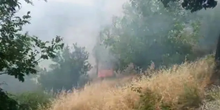 Kahramanmaraş’ta orman yangını büyümeden söndürüldü