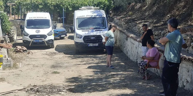 Mandalina bahçesinde ölü olarak bulundu