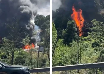 Bursa İznik’te büyük orman yangını