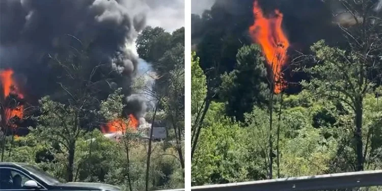 Bursa İznik’te büyük orman yangını