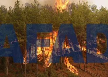 AFAD’dan yangından etkilenenlere yardım