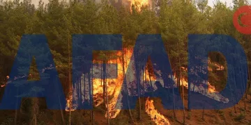 AFAD’dan yangından etkilenenlere yardım
