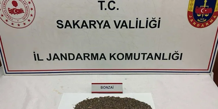 Otoyolda uyuşturucu sevkiyatı jandarmaya takıldı: 1 tutuklama